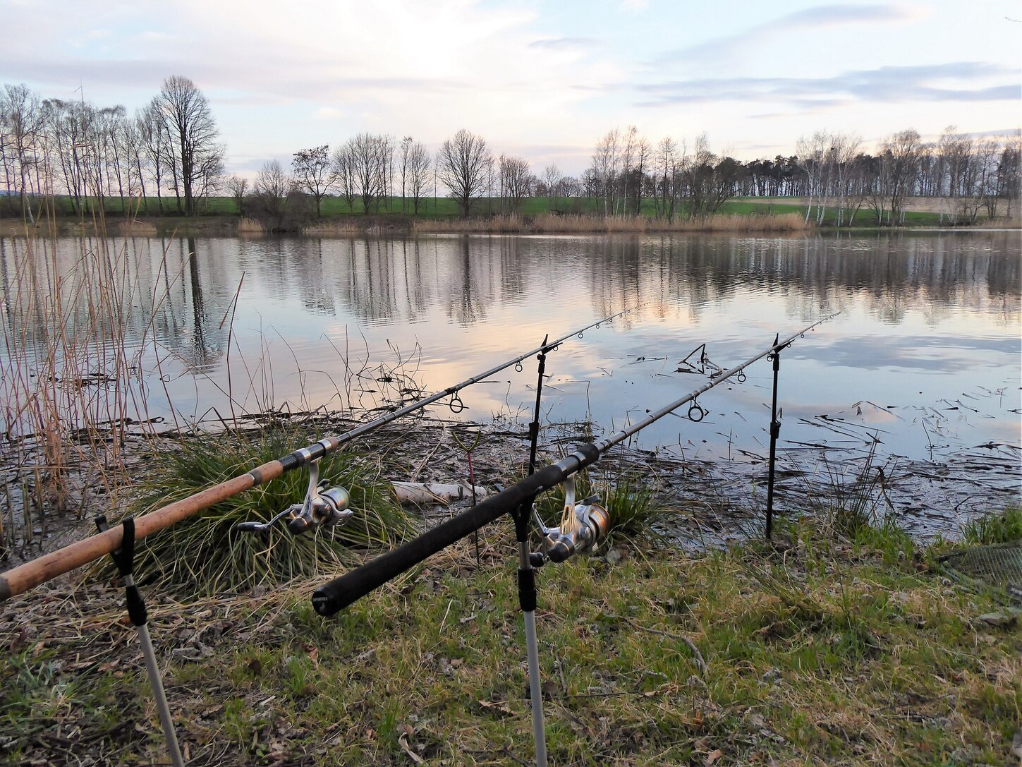 Fischerei und Angeln in Sachsen - Fischerei - sachsen.de